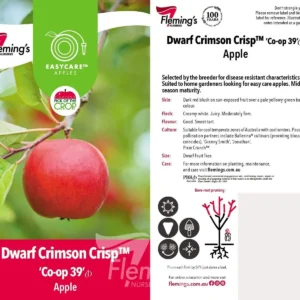 Apple Crimson Crisp - Dwarf