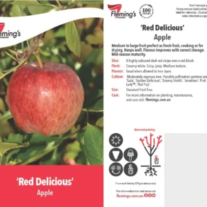 Apple Red Delicious
