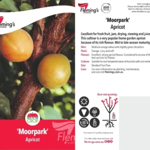 Apricot Moorpark