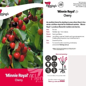 Cherry Minnie Royal