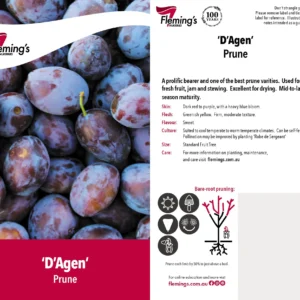 Prune D'Agen