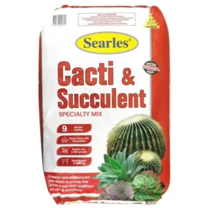 Searles Cacti & Succulent Mix